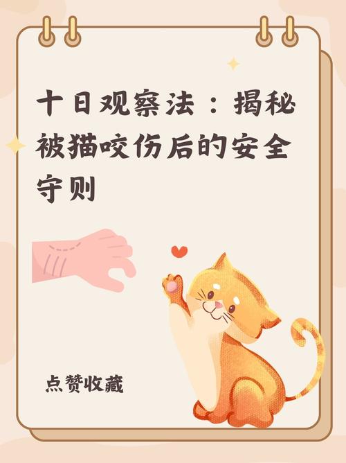 猫咪下载地址谁有啊_猫咪下载网站是多少_猫咪下载网站