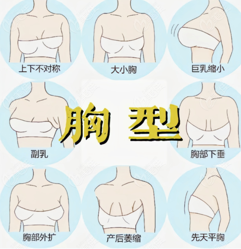 巨乳前十精品AAAA巨乳-第2张图片