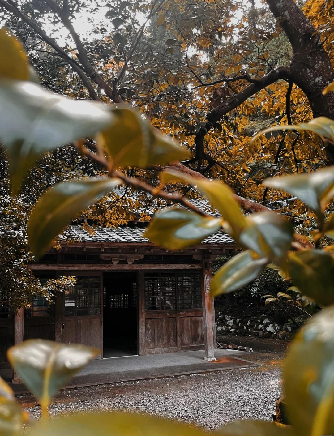 绀田村东北方的荒废神社绀田村东北方的荒废神社-第3张图片