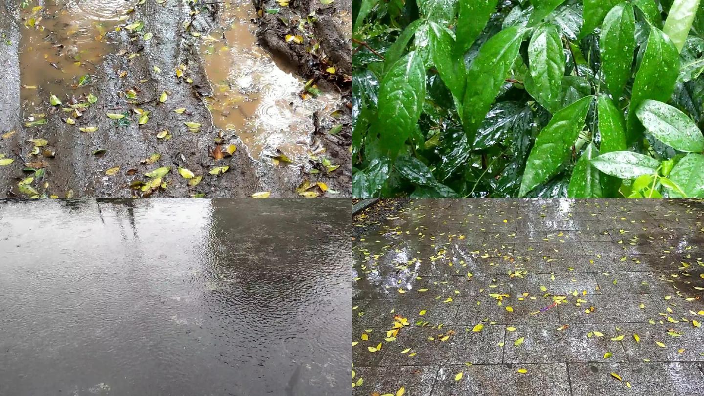 春雨直播在线观看高清视频春雨直播在线观看高清视频体验-第1张图片