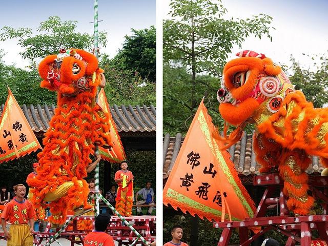 飞凰引 紫微流年飞凰，中华文化的璀璨明珠