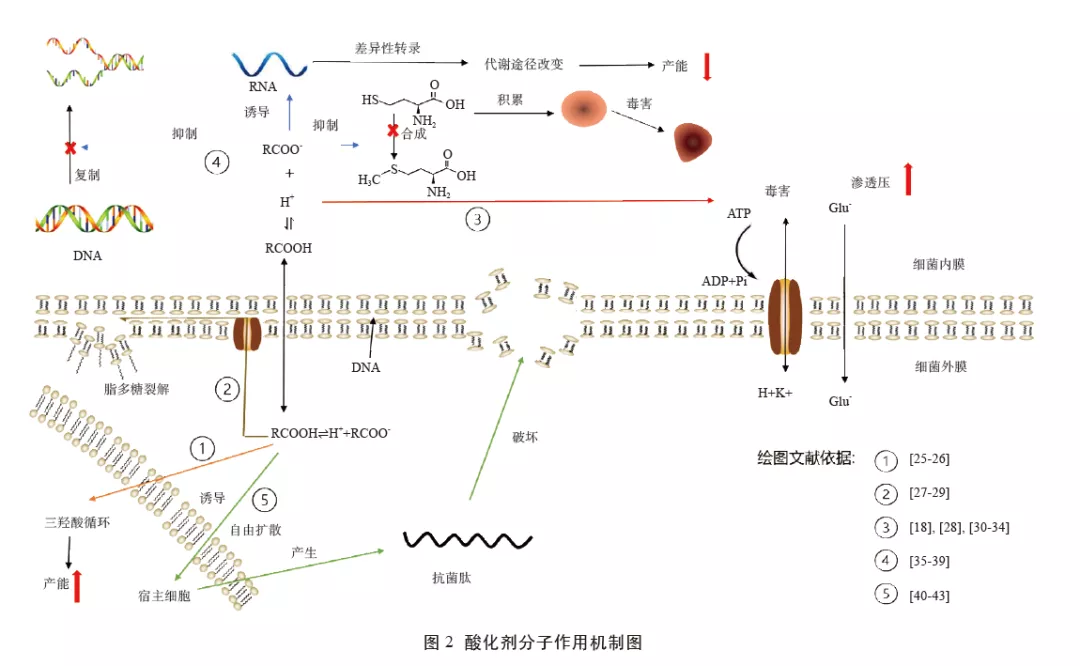 人与畜禽共性关系的重要性有哪些内容人与畜禽共性关系的重要性