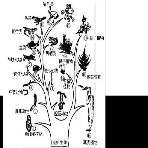 反向形成晚期疗法反向形成晚期疗法，探索生命的奇迹