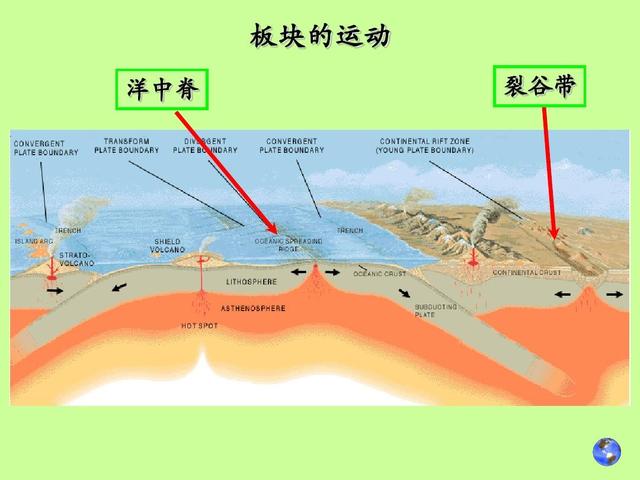 反向形成晚期疗法反向形成晚期疗法，探索生命的奇迹-第2张图片