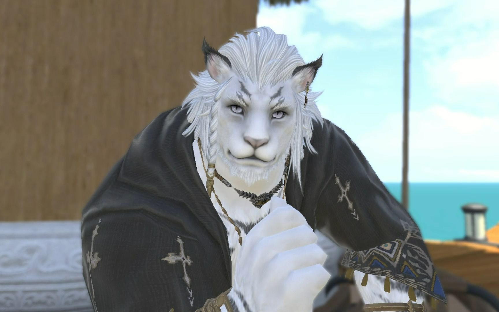 ff14种族初始服装在哪买FF14种族探索，多彩世界中的多元魅力-第2张图片