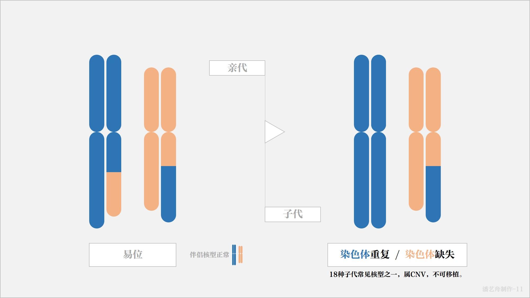 关于18图库、118论坛网址之家精准资料的介绍-第1张图片