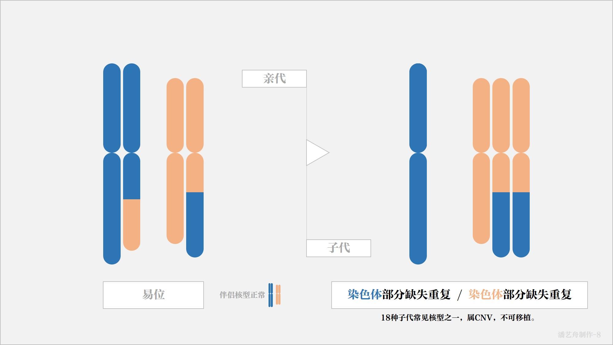 关于18图库、118论坛网址之家精准资料的介绍-第2张图片