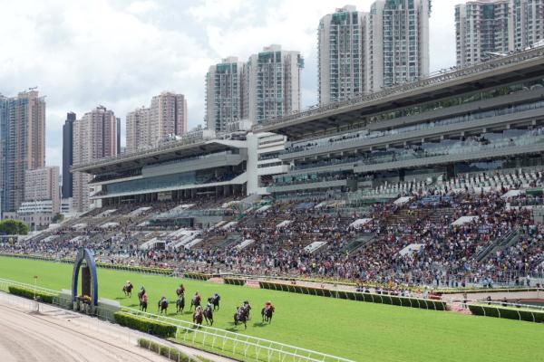 香港赛马会资料六肖必中一肖香港赛马会资料概述-第3张图片