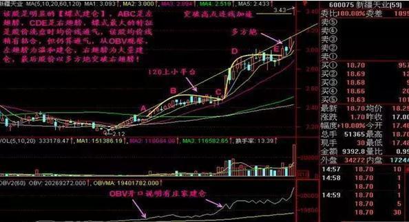 三期内必开一期精准，把握市场脉搏与行业趋势-第3张图片