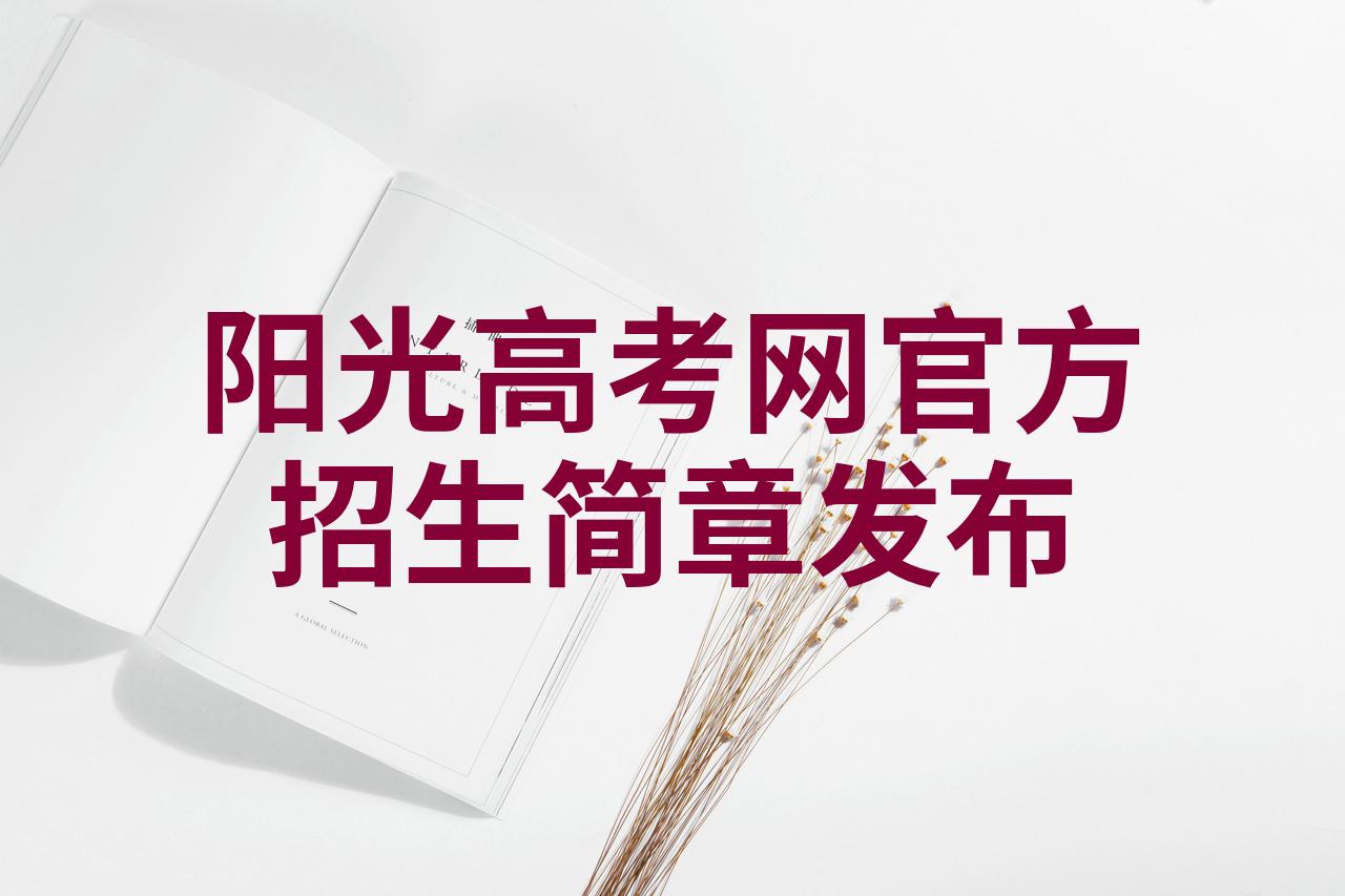 阳光高考网站官网登录入口查询阳光高考网站官网登录入口介绍-第2张图片