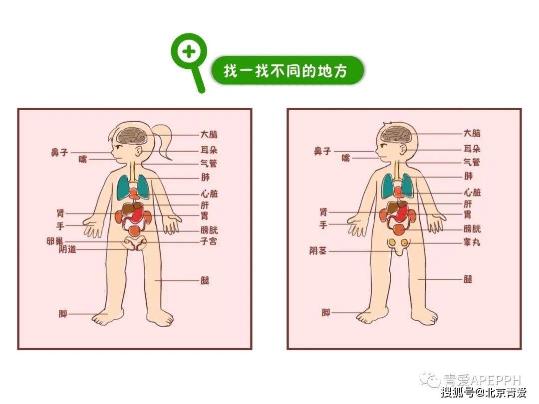 性开四门是指哪四门性开四门是指涉及性健康、性教育、性行为和性心理等方面的四个重要领域。这些领域在现代社会中越来越受到关注，对于人们的身心健康和幸福生活具有重要意义。本文将深入探讨性开四门的含义和重要性。-第1张图片