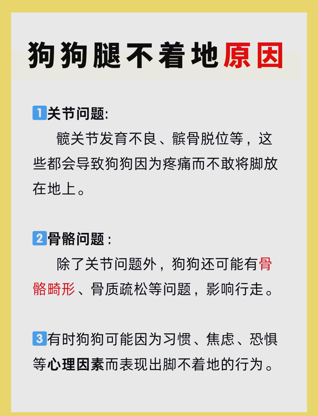 狗的好大合不了腿