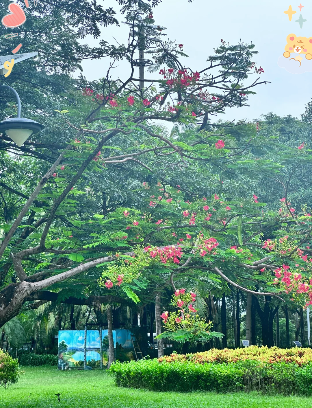 大东海住宿哪里便宜大东海住宿体验-第1张图片