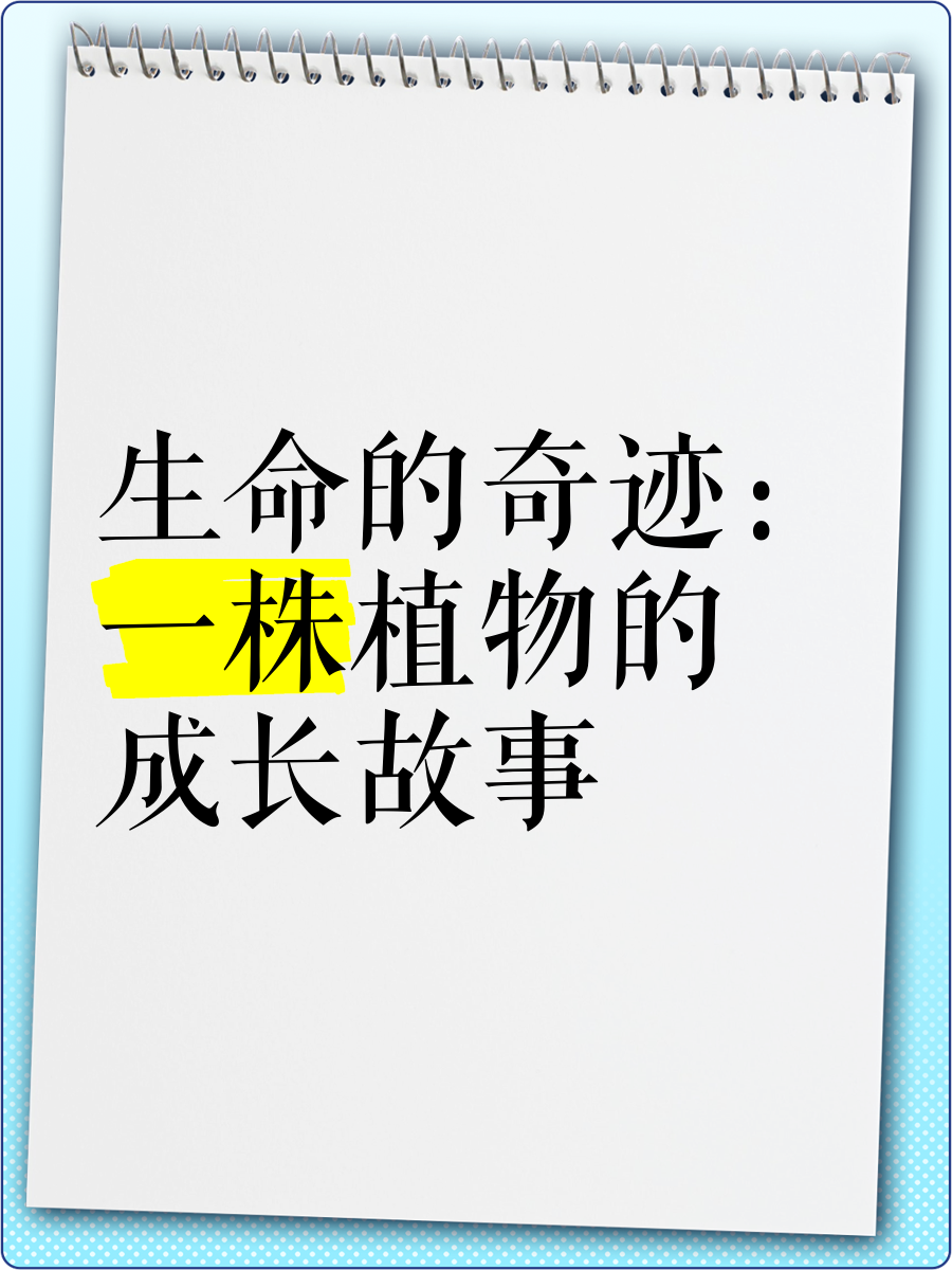 你懂得种子——生命的奇迹