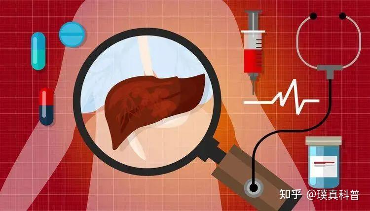 团体体检报告自己可以拿吗团体体检的重要性与实施-第3张图片