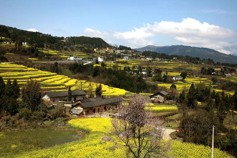 春暖花开论坛最新地址春暖花开论坛最新地址揭晓