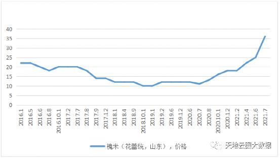 江苏11选五走势图今天的江苏11选五走势图分析-第2张图片