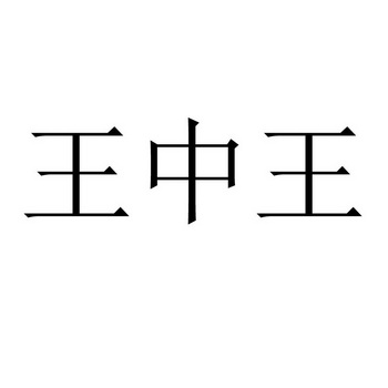 王中王资料大全枓大全_相关书籍王中王资料大全，全面解析枓大全相关书籍-第3张图片