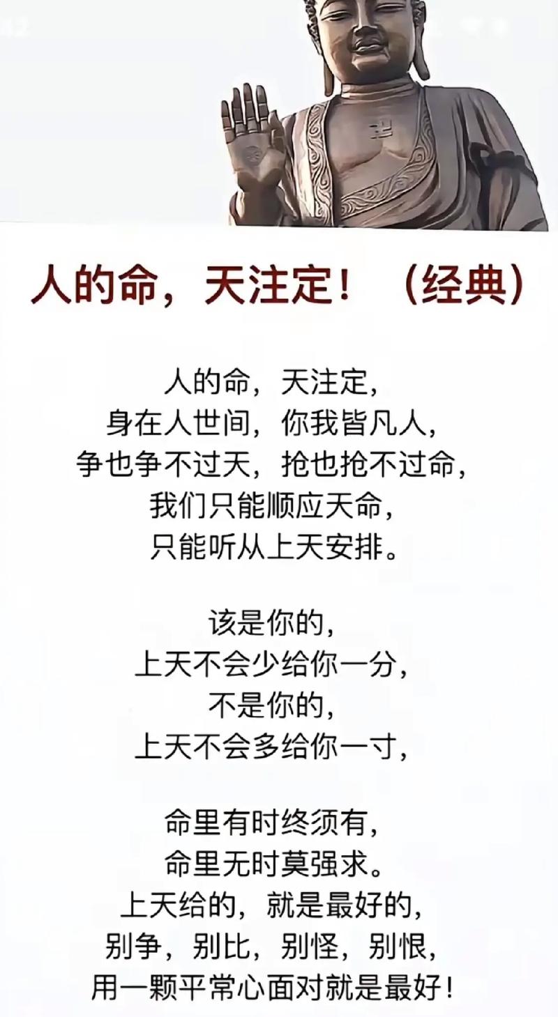 双色球开奖结果54双色球开奖结果54，揭晓幸运的神秘面纱