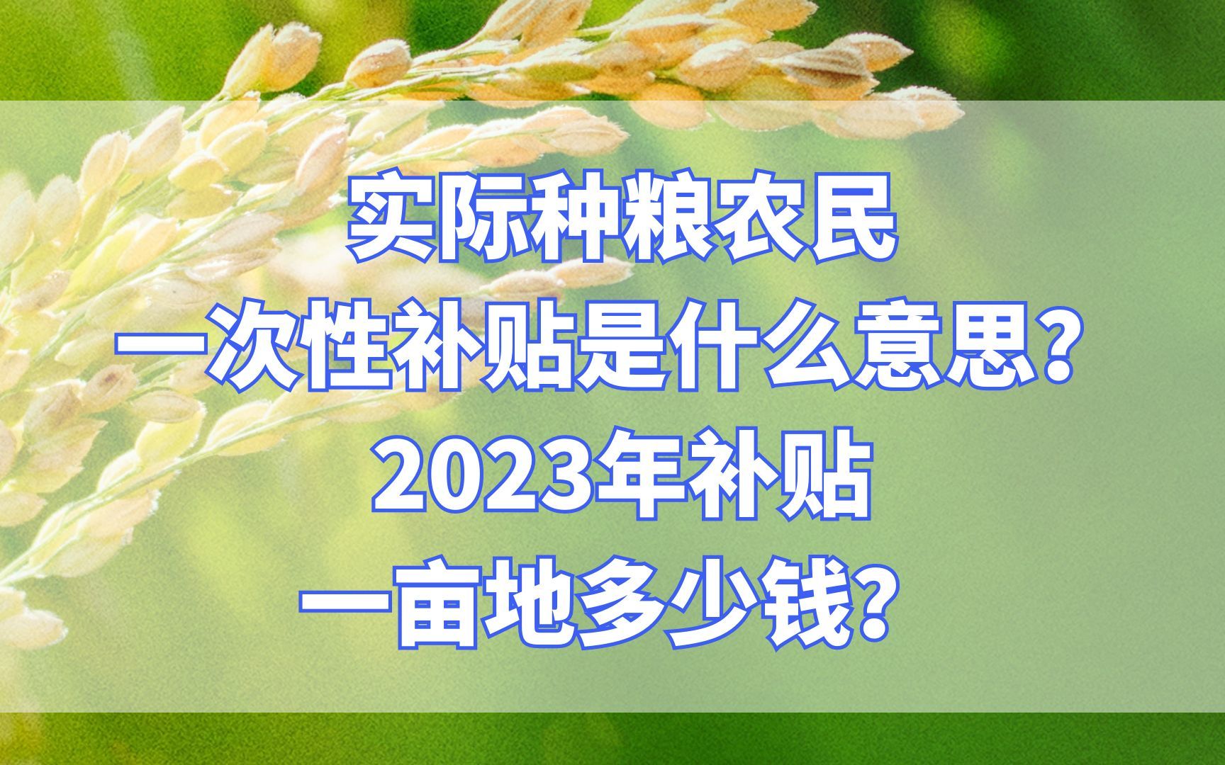 2023年一码一肖，预测与准确性的保证-第1张图片