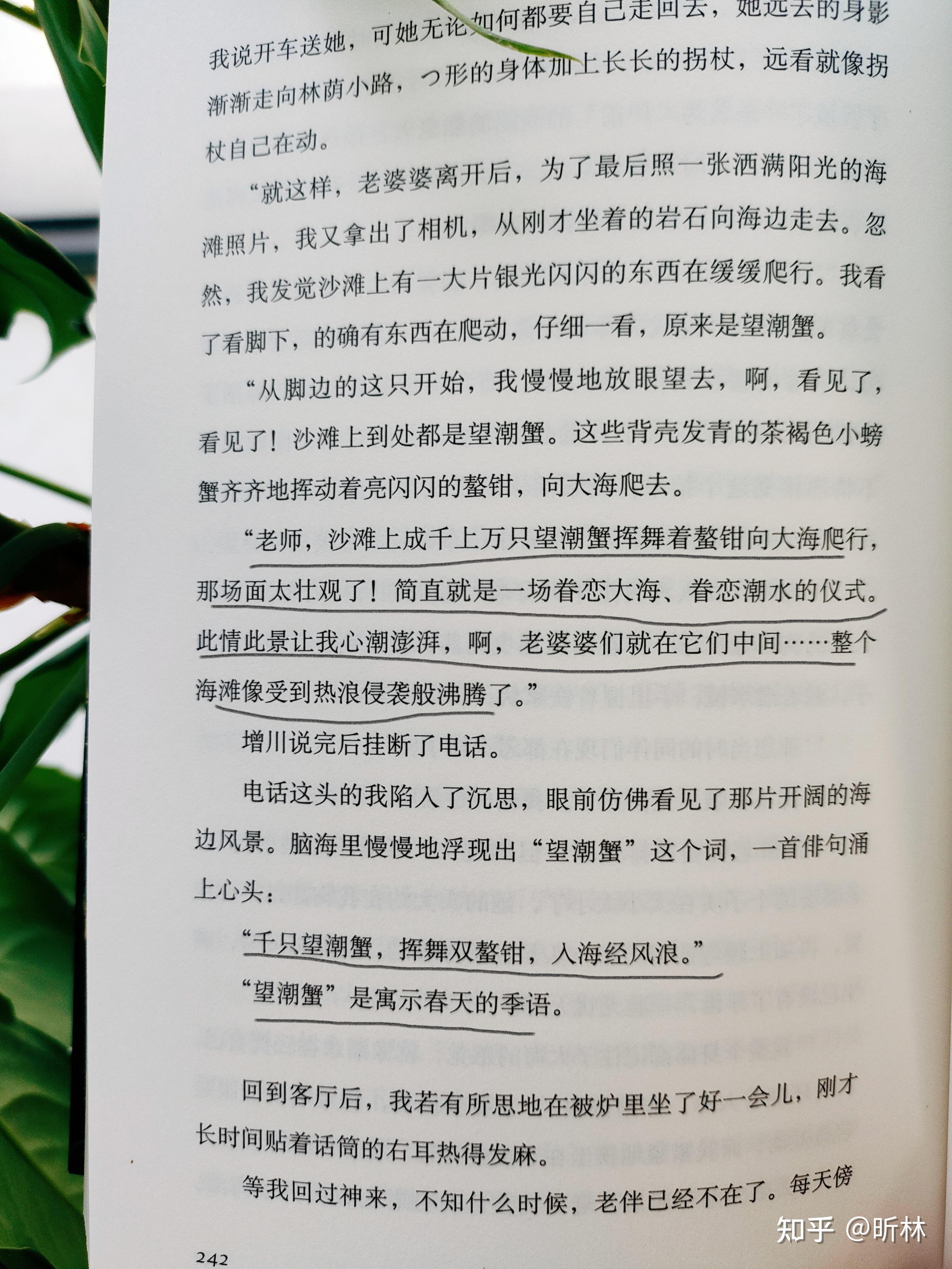 视频 亚洲 图片小说视频中的亚洲之美，图片与小说的交织-第2张图片