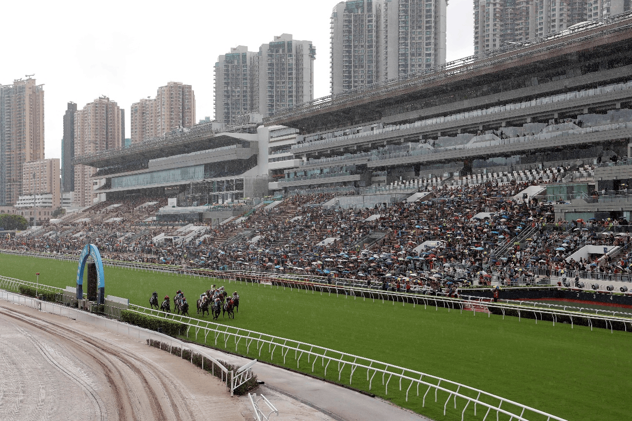 香港赛马会论坛金佛光论坛香港赛马会论坛，探讨赛马运动与文化交流