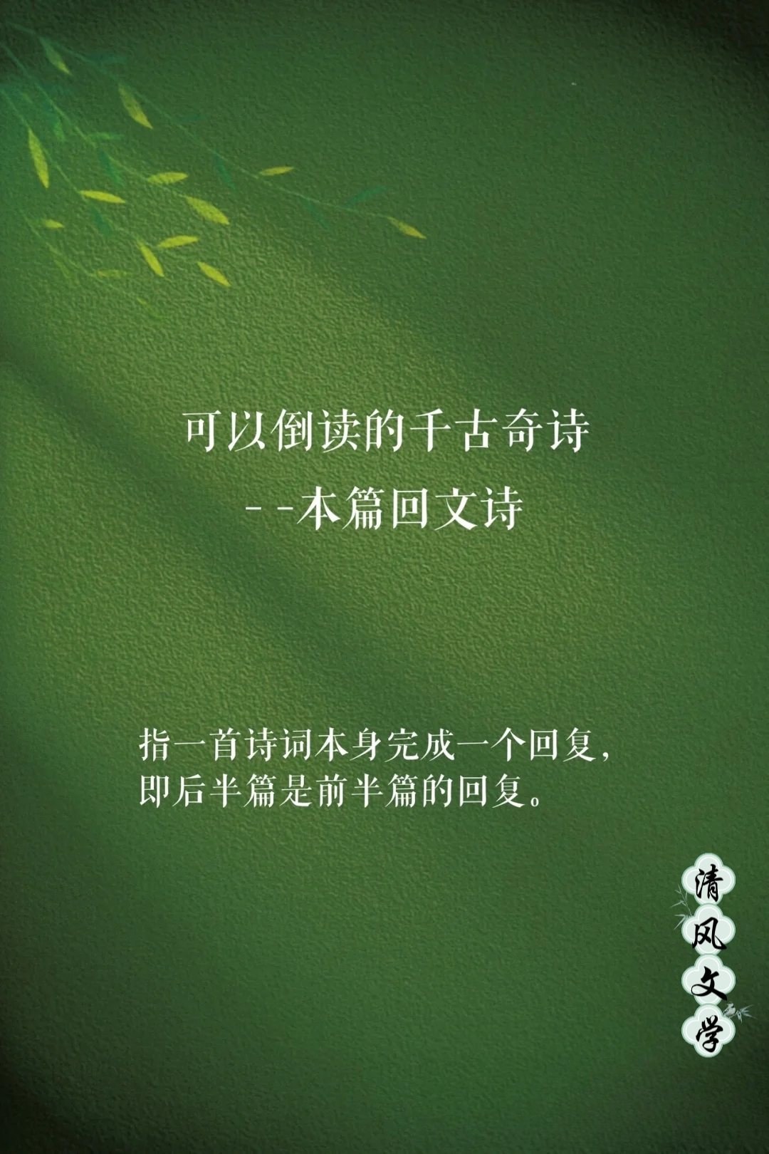 白荆回廊白荆回廊，时光的诗篇-第3张图片