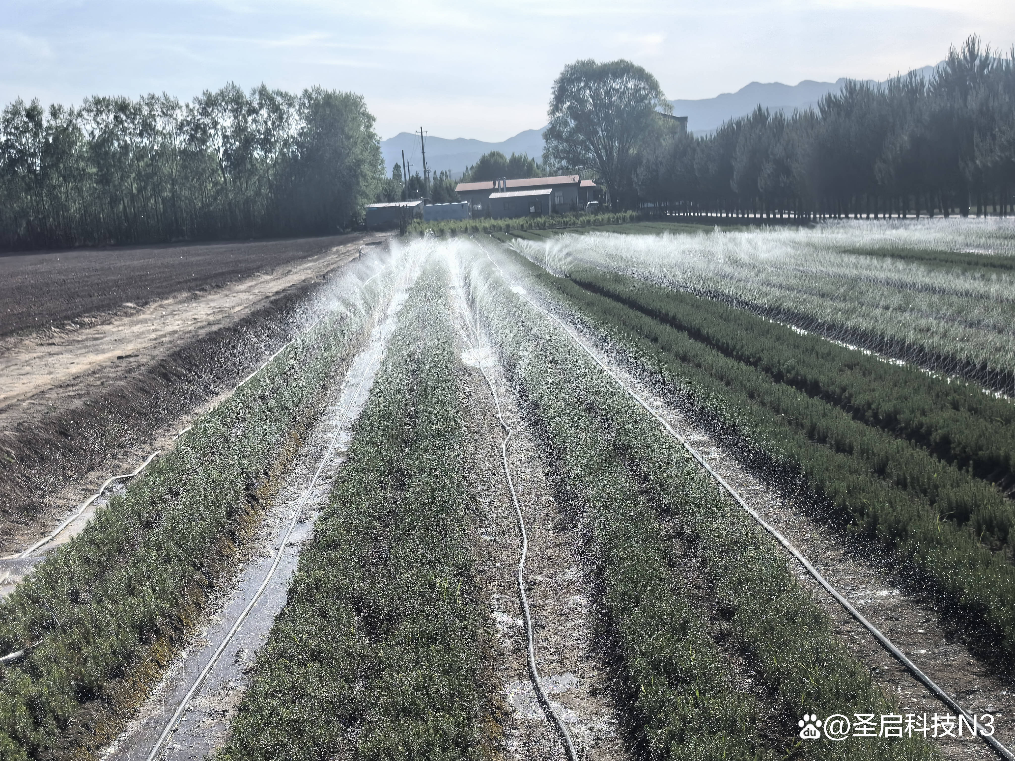 灌溉系统原理图YI灌溉系统，高效、智能与可持续的农业解决方案-第1张图片