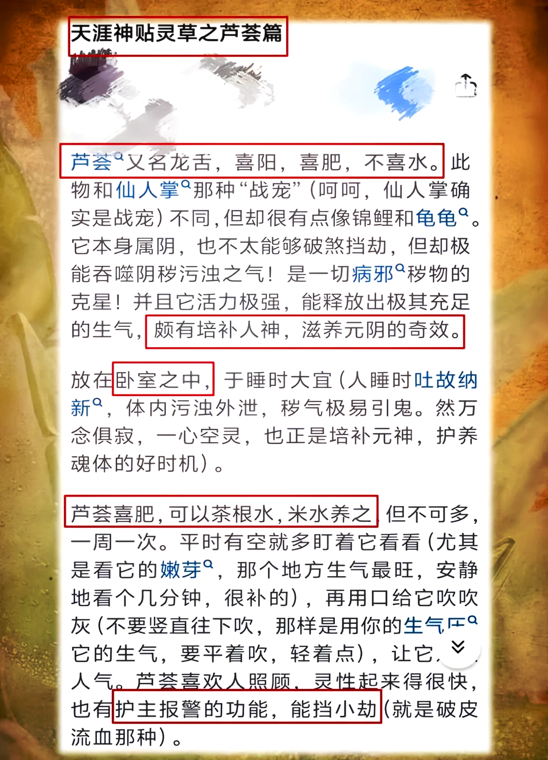 舔舐阴的快感舔舐阴秽之秘-第2张图片