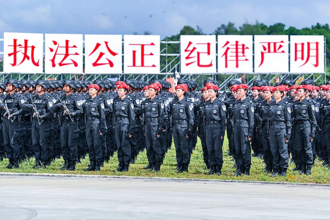 衣卫士，守护衣物的忠诚卫士-第2张图片