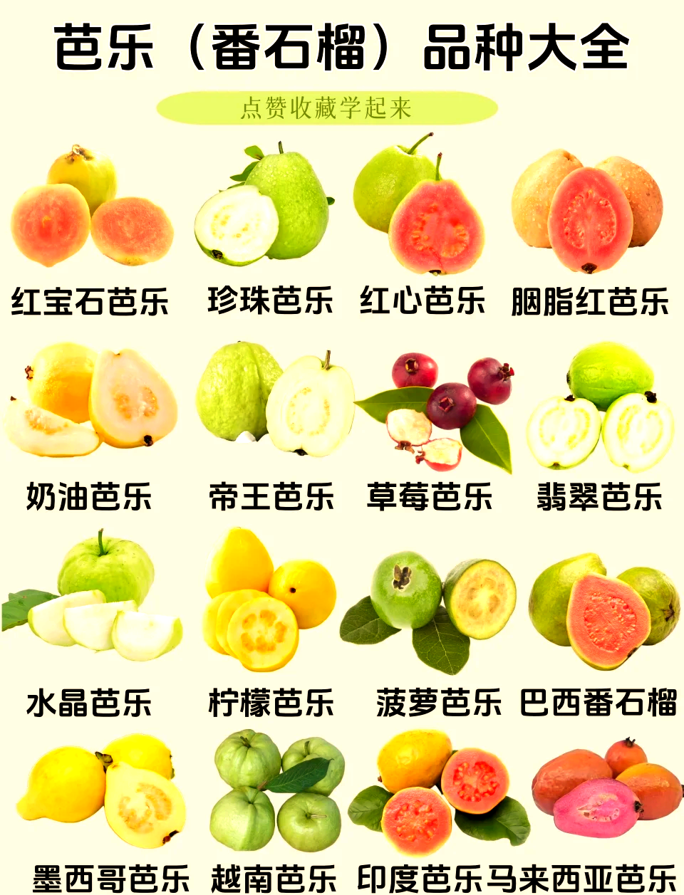 芭乐app下载大全芭乐APP下载大全-第1张图片