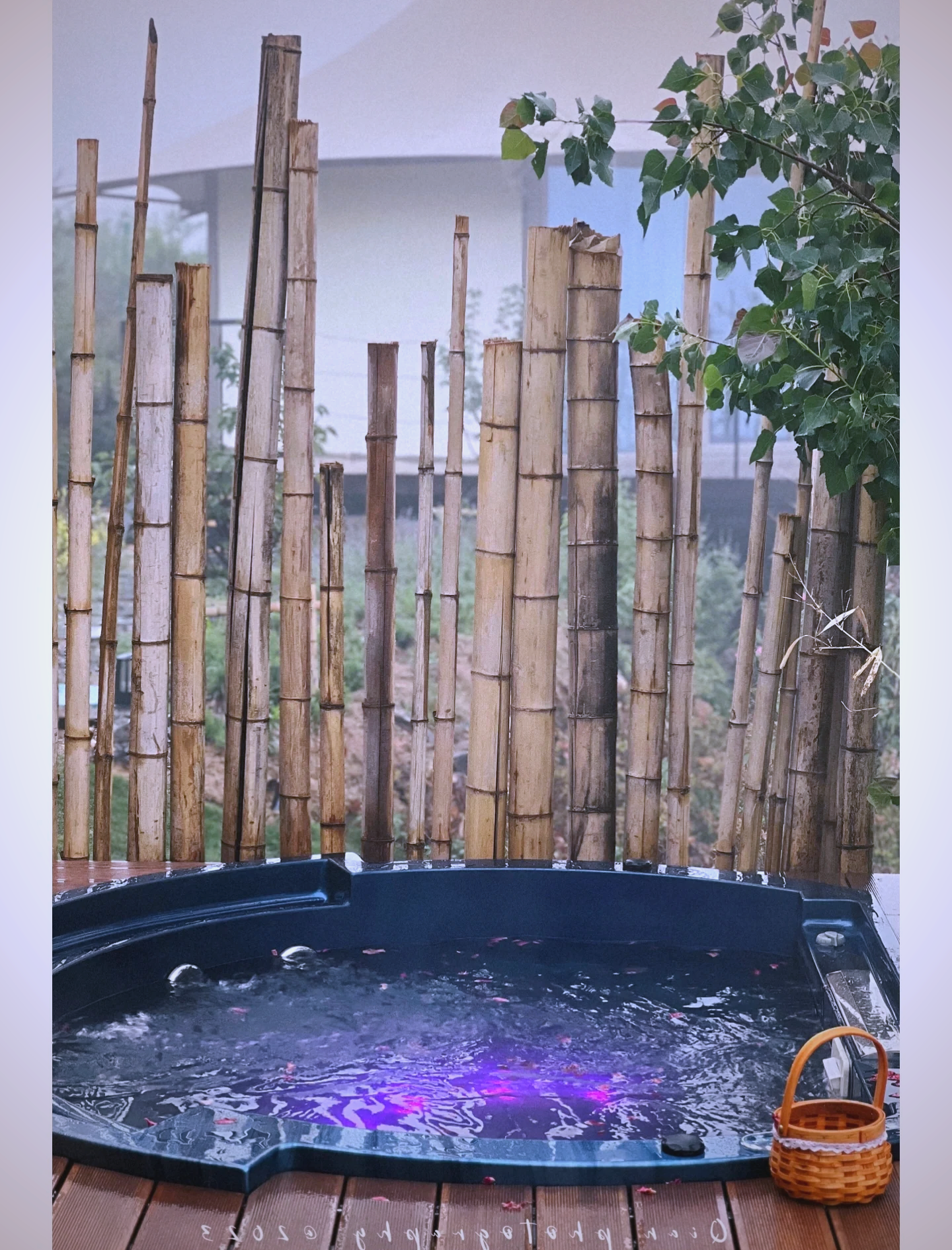 新乡住宿新乡住宿体验，寻找舒适的住宿之地-第3张图片