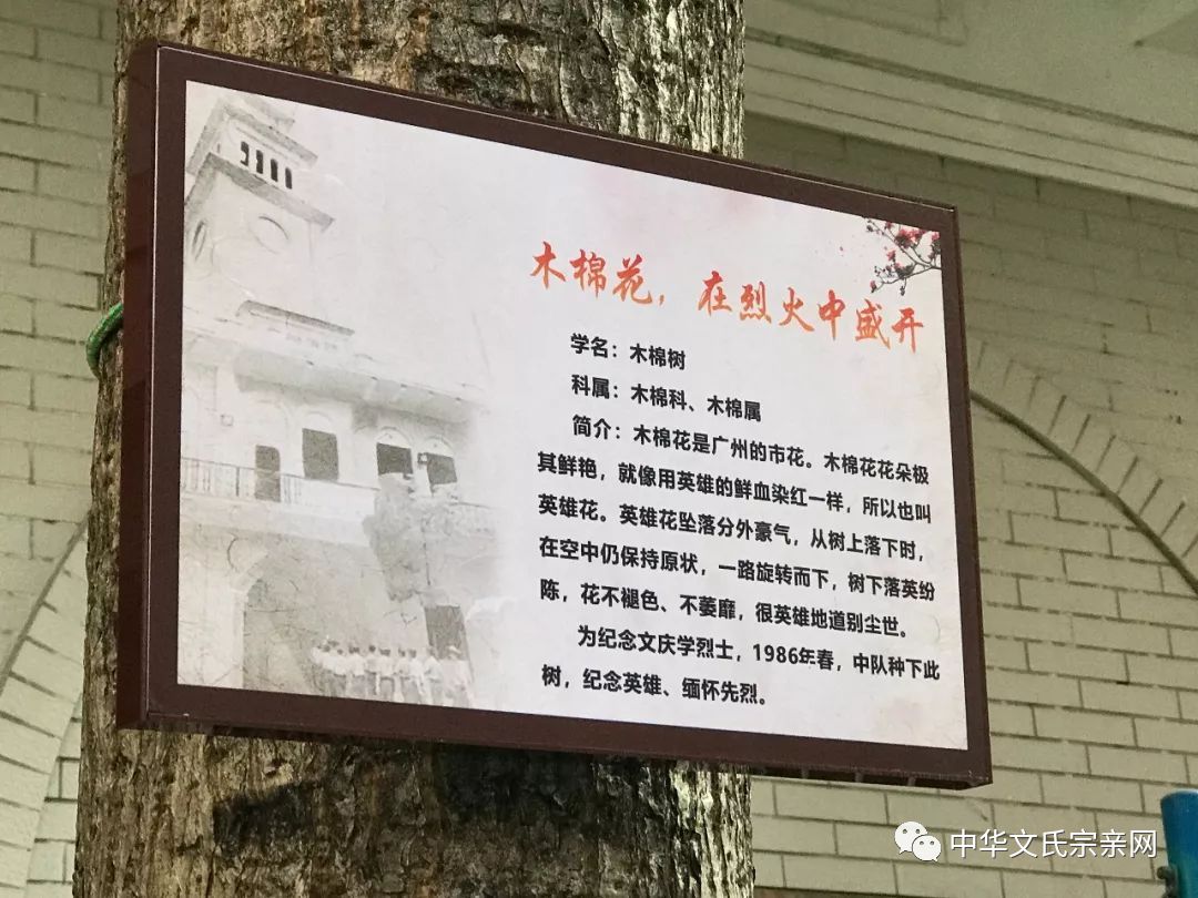 孙洪林烈士事迹概述-第1张图片