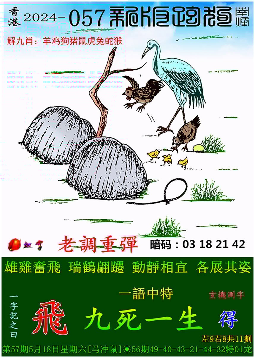 2024年香港开奖历史记录概览-第1张图片