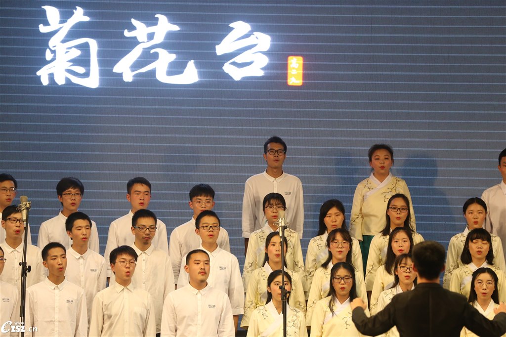红叶高手联盟红叶高手联盟，探索卓越之路-第1张图片