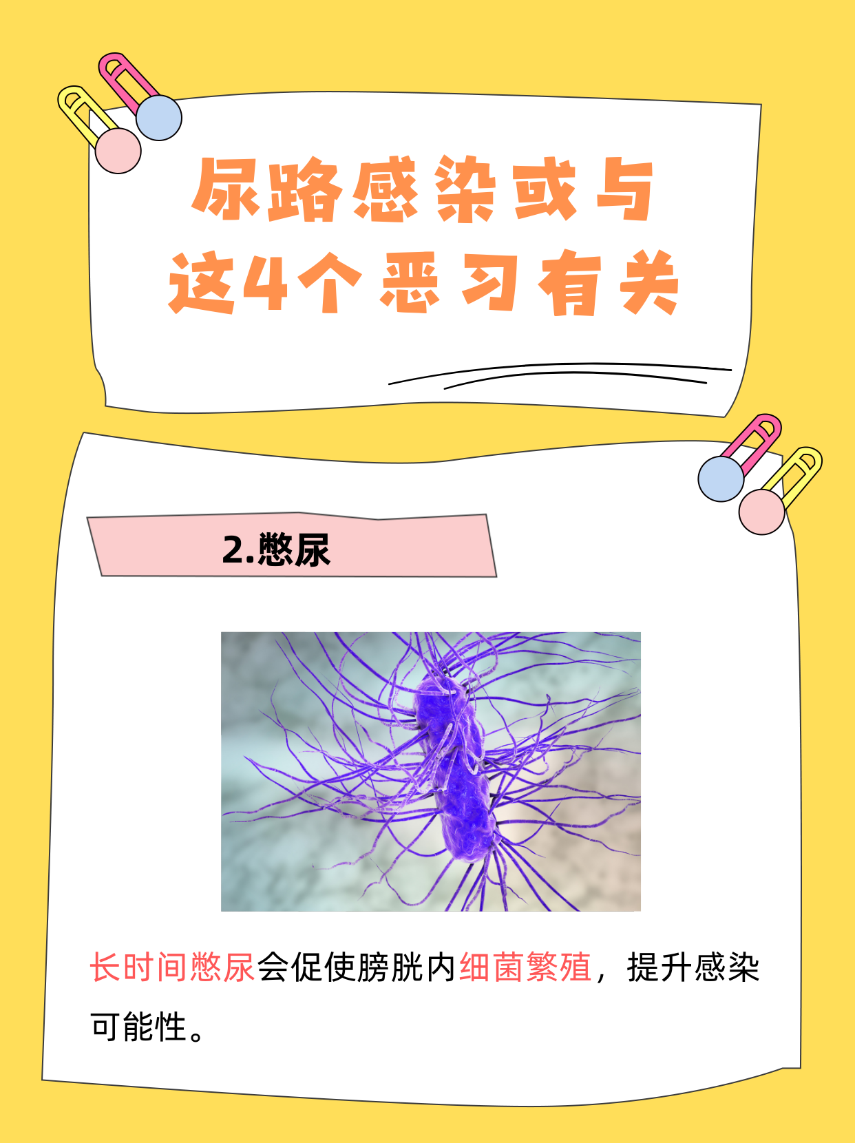 每天肚子里都是主人的尿肉每天肚子里都是主人的尿肉，恶习与健康之痛-第2张图片