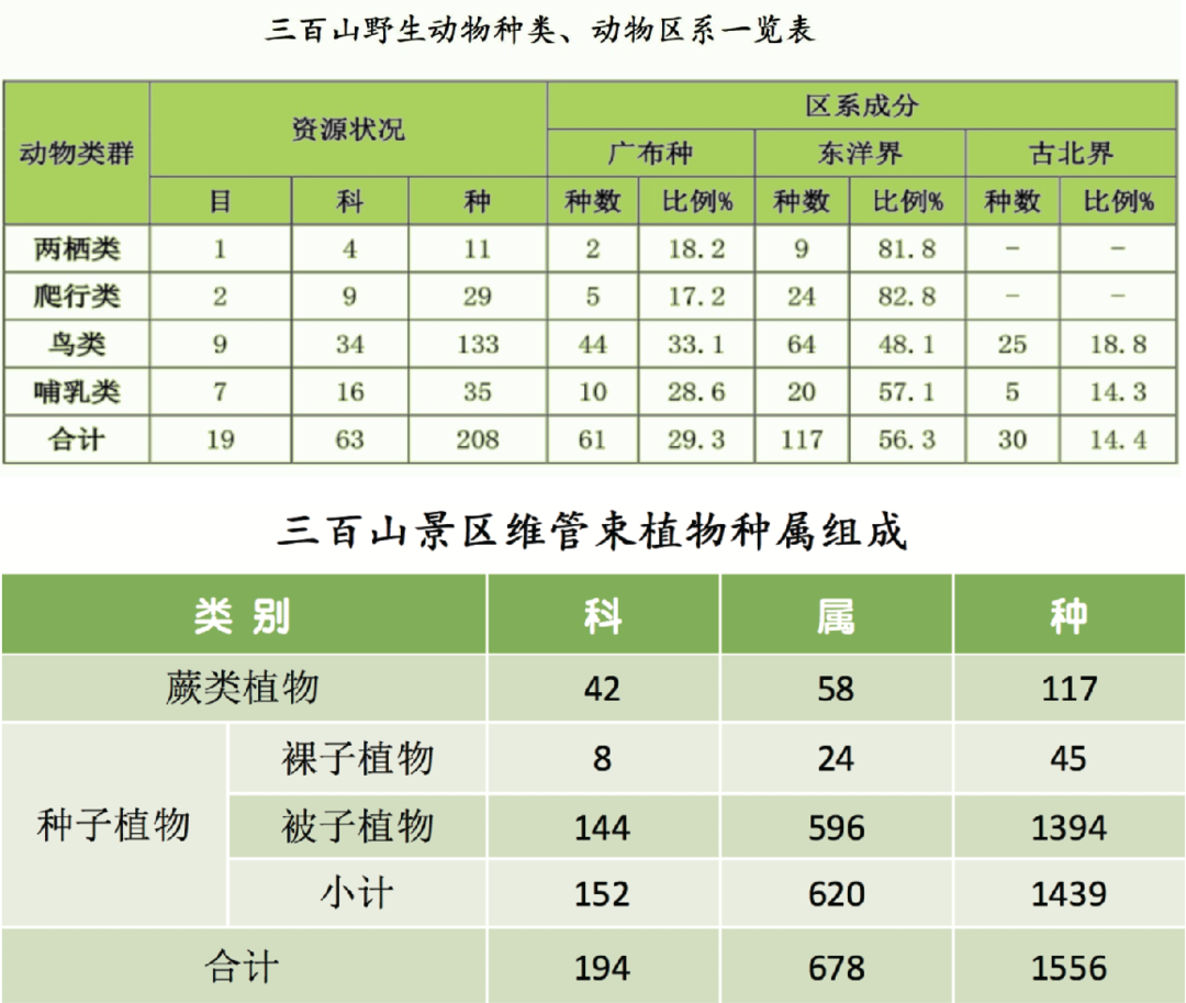 2019四不像86四不像2019，探索未知的未来