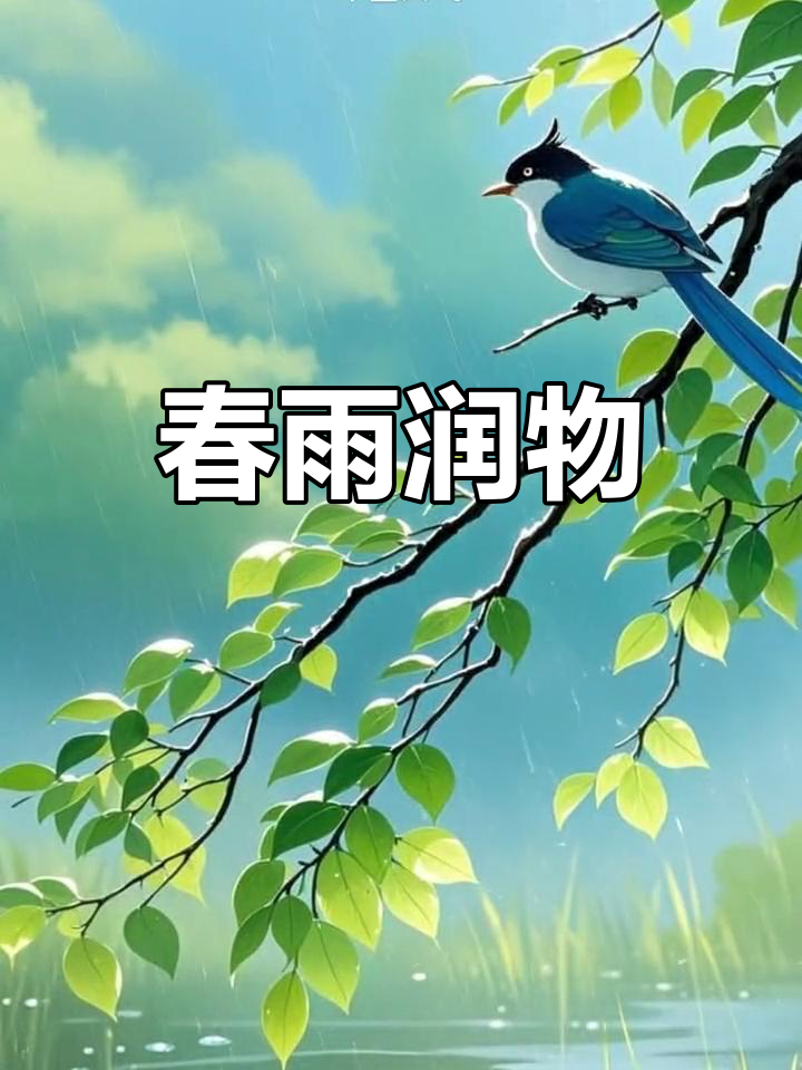春雨app直播免费看春雨APP直播免费看，探索直播新体验