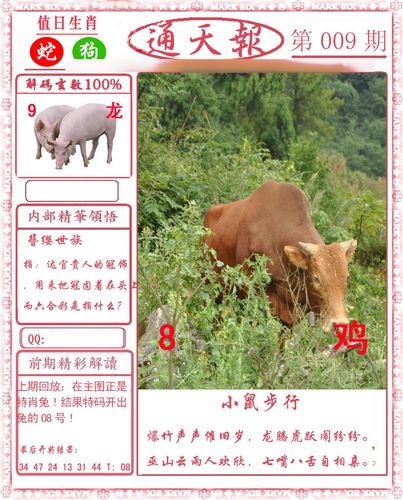 2023全年澳门资料免费看2023澳门全年免费资料大观-第1张图片