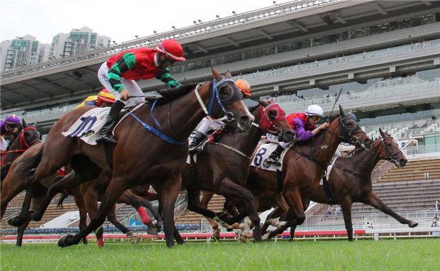 香港赛马会开奖，揭开幸运的神秘面纱-第1张图片