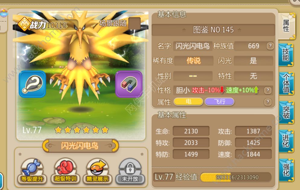 闪电鸟闪电鸟，神秘的生物与神秘的世界
