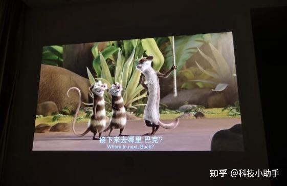 小明发布小明发布，科技新动态-第2张图片