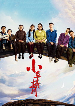 小草新视频在线观看体验-第1张图片