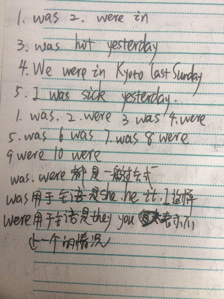 青春的篇章，waswaswas18的成长与启示