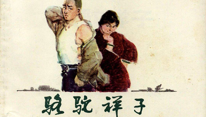 最原始的母爱风月小说乱母小说，畸形的母爱与悲剧的交织
