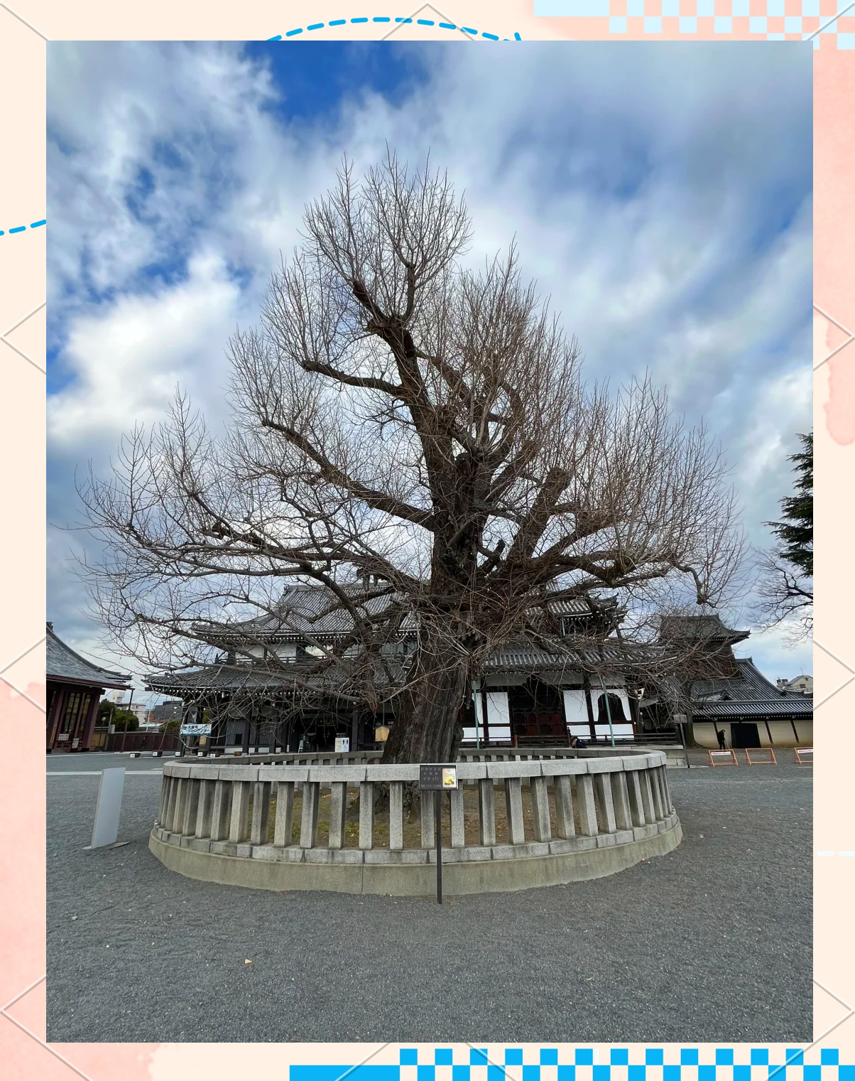 日本最大的人文艺术欣赏之旅