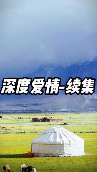成人在线手机版视频，探索便捷与深度