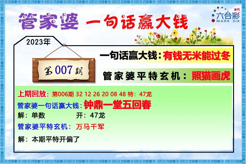 管家婆六肖中特网，神秘与实用的数字世界