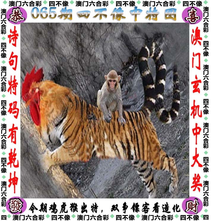 2023年澳门马会传真澳门马会2023年传真，展望未来