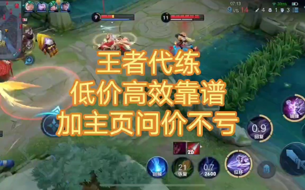 代练猫打手版代练猫，代练市场的全新视角-第2张图片